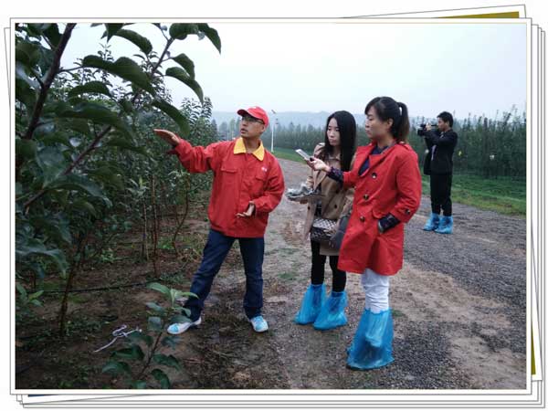 lehu - 乐虎 -(88国际)唯一官方网站