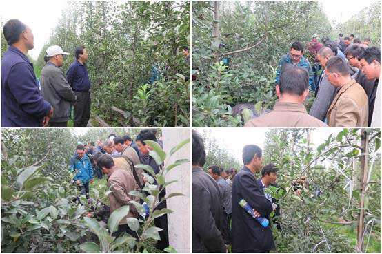 lehu - 乐虎 -(88国际)唯一官方网站