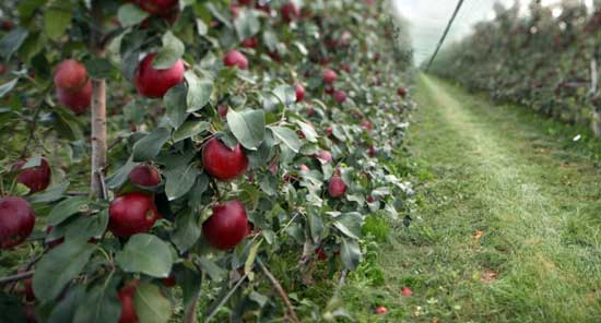 lehu - 乐虎 -(88国际)唯一官方网站