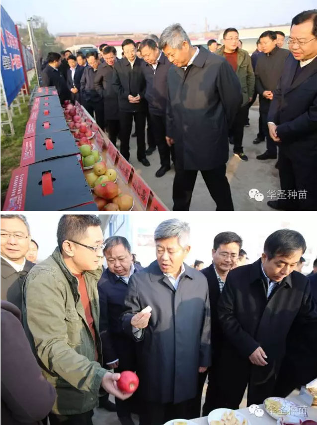 lehu - 乐虎 -(88国际)唯一官方网站