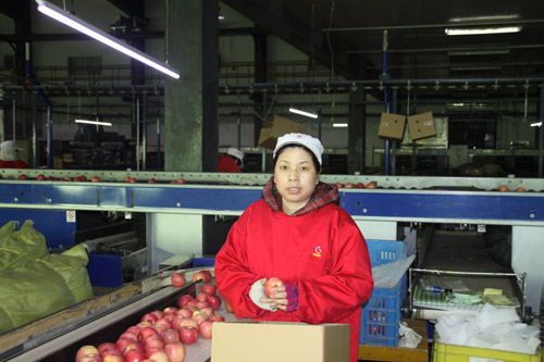 lehu - 乐虎 -(88国际)唯一官方网站