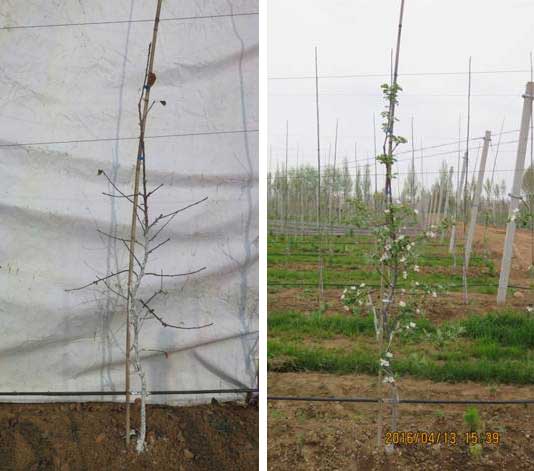 lehu - 乐虎 -(88国际)唯一官方网站