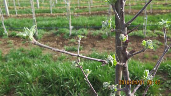 lehu - 乐虎 -(88国际)唯一官方网站