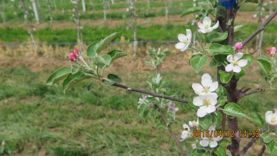 lehu - 乐虎 -(88国际)唯一官方网站