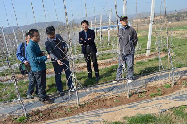 lehu - 乐虎 -(88国际)唯一官方网站