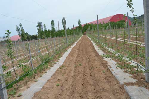 lehu - 乐虎 -(88国际)唯一官方网站