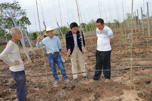 lehu - 乐虎 -(88国际)唯一官方网站