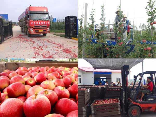 lehu - 乐虎 -(88国际)唯一官方网站