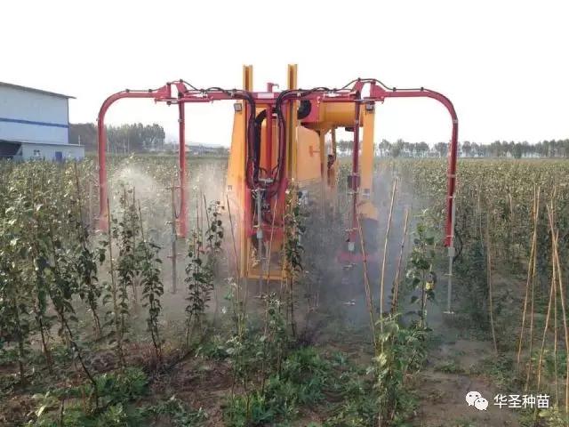 lehu - 乐虎 -(88国际)唯一官方网站