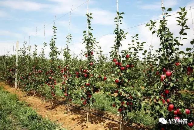 lehu - 乐虎 -(88国际)唯一官方网站