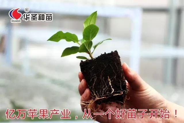 lehu - 乐虎 -(88国际)唯一官方网站