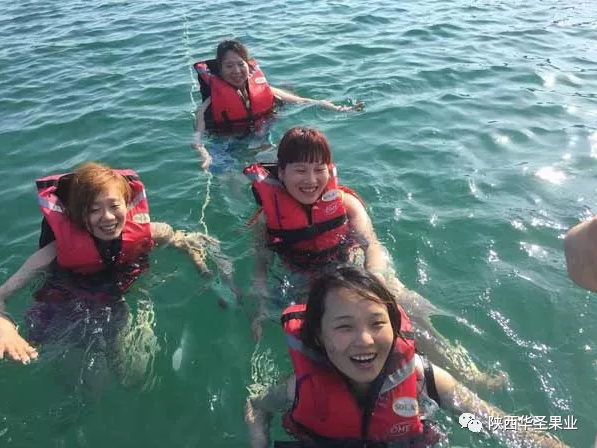 lehu - 乐虎 -(88国际)唯一官方网站