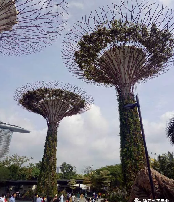 lehu - 乐虎 -(88国际)唯一官方网站