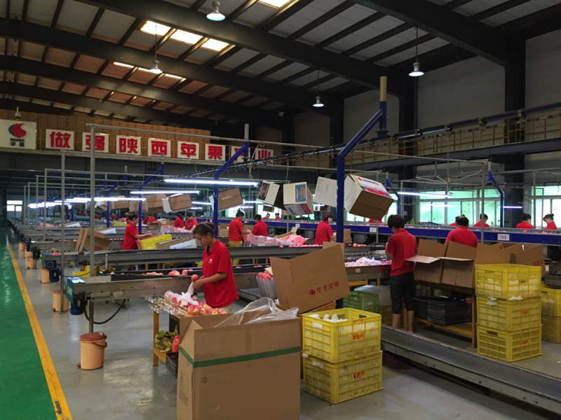 lehu - 乐虎 -(88国际)唯一官方网站