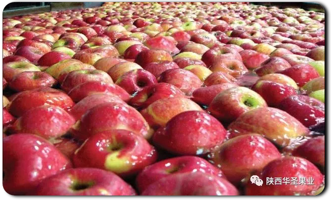 lehu - 乐虎 -(88国际)唯一官方网站