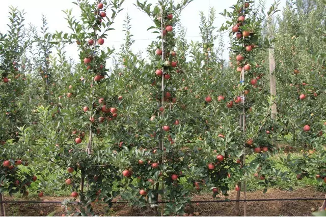 lehu - 乐虎 -(88国际)唯一官方网站