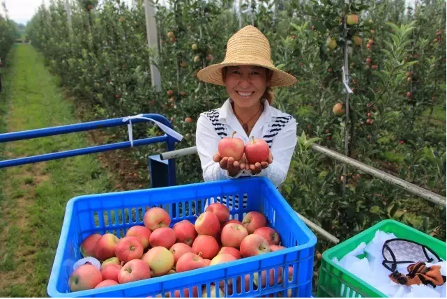 lehu - 乐虎 -(88国际)唯一官方网站