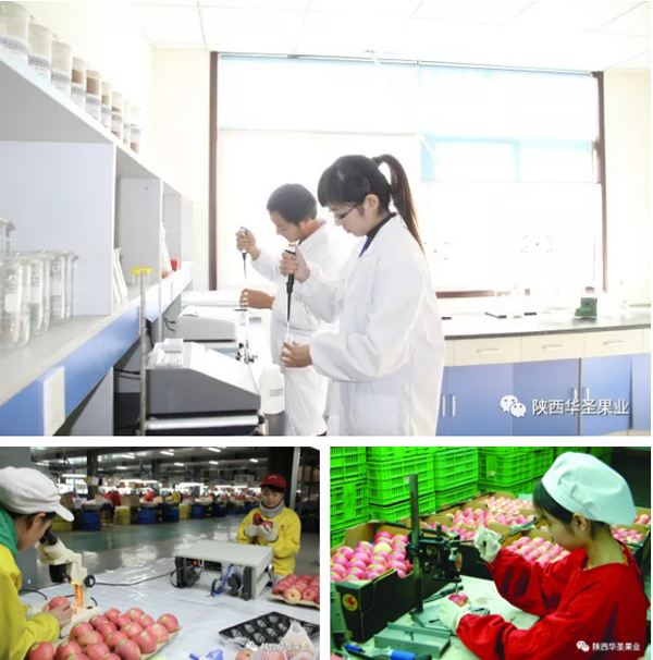 lehu - 乐虎 -(88国际)唯一官方网站