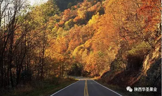 lehu - 乐虎 -(88国际)唯一官方网站