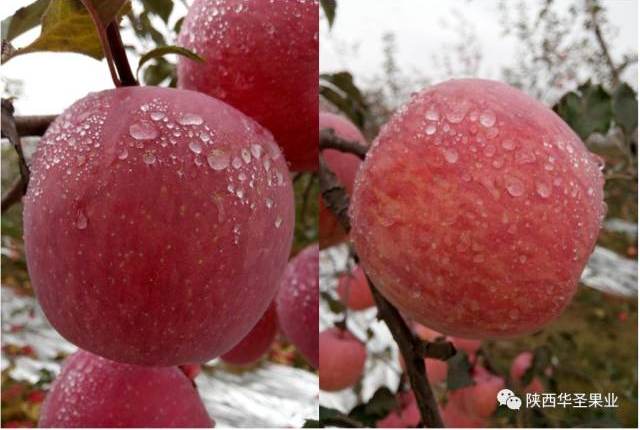 lehu - 乐虎 -(88国际)唯一官方网站