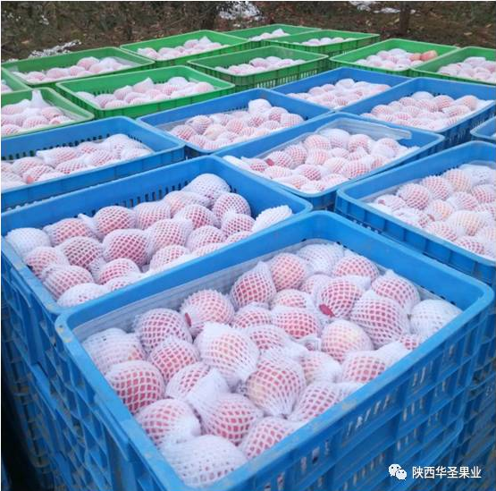 lehu - 乐虎 -(88国际)唯一官方网站