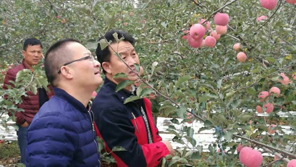 lehu - 乐虎 -(88国际)唯一官方网站