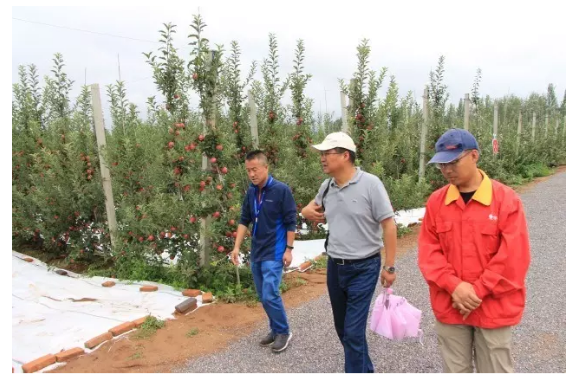 lehu - 乐虎 -(88国际)唯一官方网站