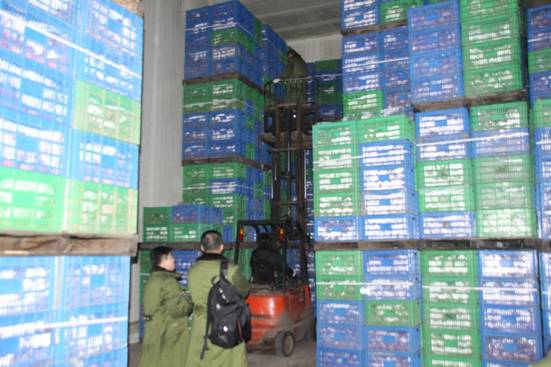 lehu - 乐虎 -(88国际)唯一官方网站