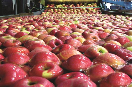 lehu - 乐虎 -(88国际)唯一官方网站