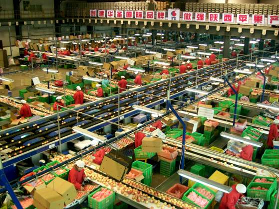 lehu - 乐虎 -(88国际)唯一官方网站