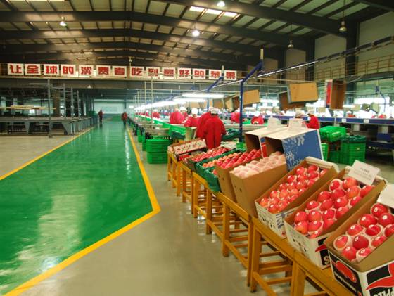 lehu - 乐虎 -(88国际)唯一官方网站