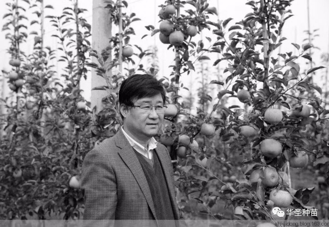 lehu - 乐虎 -(88国际)唯一官方网站