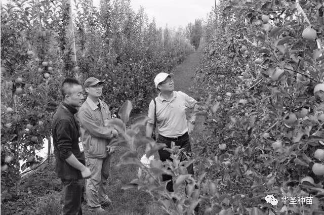 lehu - 乐虎 -(88国际)唯一官方网站