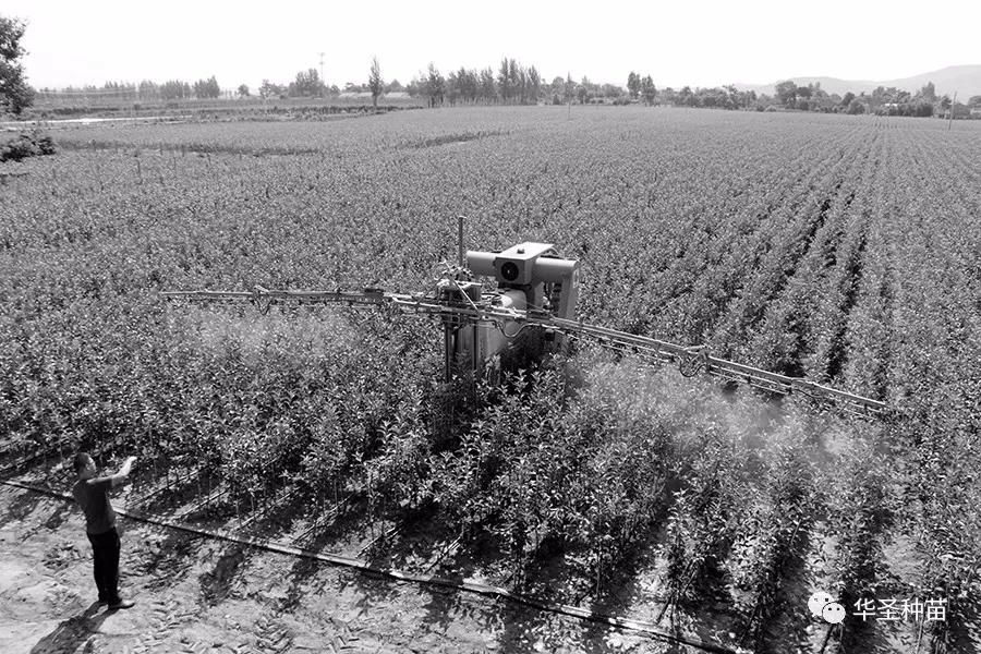 lehu - 乐虎 -(88国际)唯一官方网站