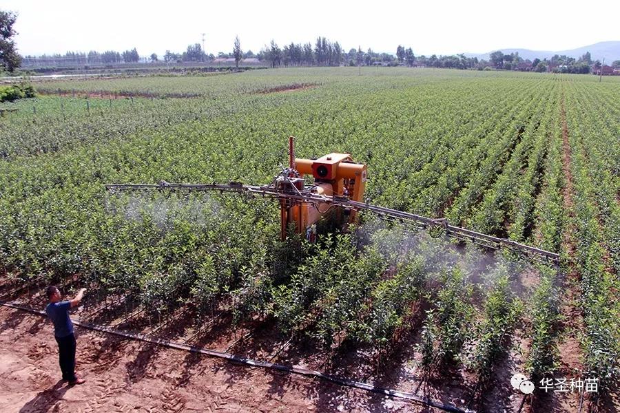 lehu - 乐虎 -(88国际)唯一官方网站